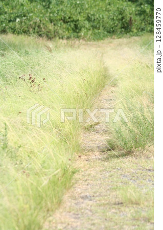 an 7月の風景 an 7月の風景 128459770