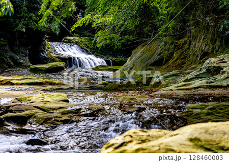 千葉県 養老渓谷の風景 千葉県 養老渓谷の風景 128460003