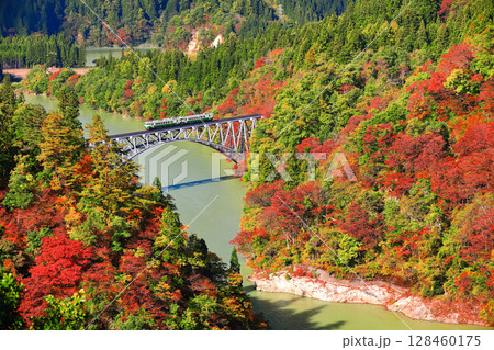 【福島県】只見川第1橋梁を渡る紅葉列車 128460175