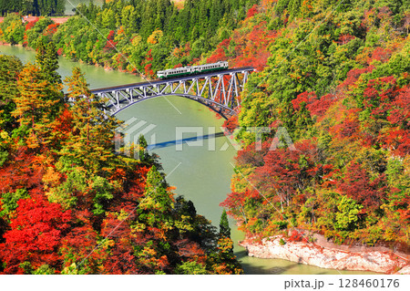 【福島県】只見川第1橋梁を渡る紅葉列車 128460176
