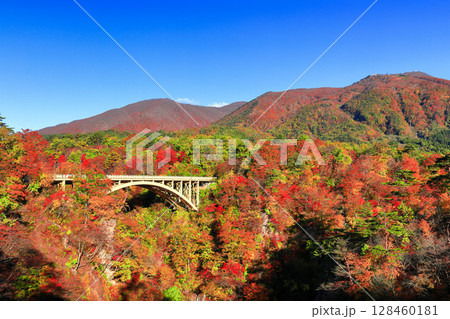 【宮城県】快晴の鳴子峡の紅葉 【宮城県】快晴の鳴子峡の紅葉 128460181