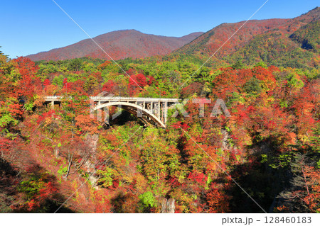 【宮城県】快晴の鳴子峡の紅葉 128460183