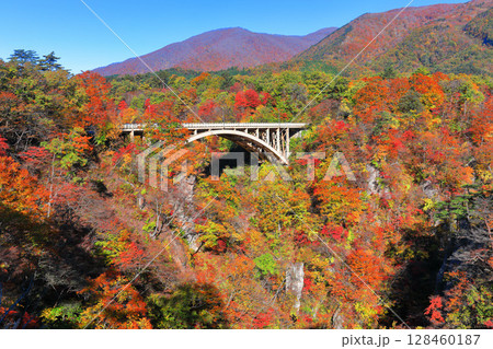 【宮城県】快晴の鳴子峡の紅葉 【宮城県】快晴の鳴子峡の紅葉 128460187