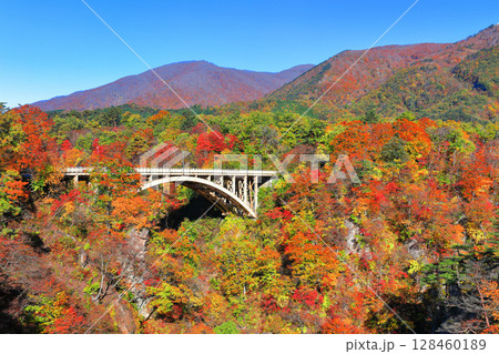 【宮城県】快晴の鳴子峡の紅葉 【宮城県】快晴の鳴子峡の紅葉 128460189