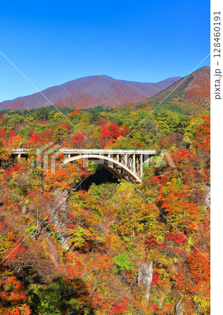 【宮城県】快晴の鳴子峡の紅葉 【宮城県】快晴の鳴子峡の紅葉 128460191