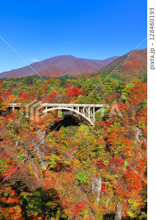 【宮城県】快晴の鳴子峡の紅葉 128460193
