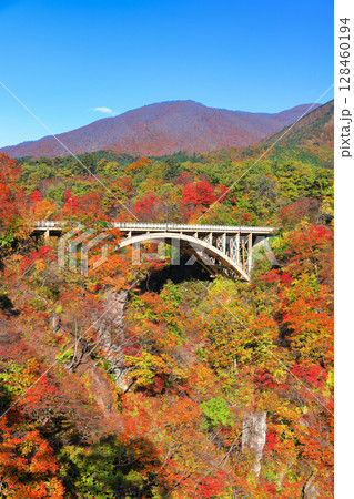【宮城県】快晴の鳴子峡の紅葉 128460194