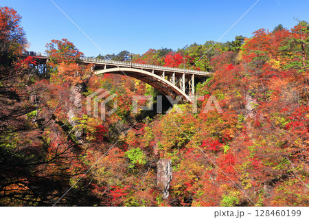 【宮城県】快晴の鳴子峡の紅葉 【宮城県】快晴の鳴子峡の紅葉 128460199
