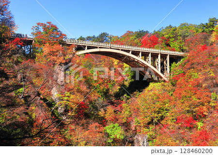 【宮城県】快晴の鳴子峡の紅葉 128460200