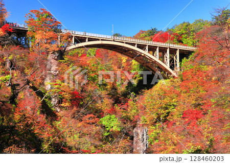 【宮城県】快晴の鳴子峡の紅葉 128460203
