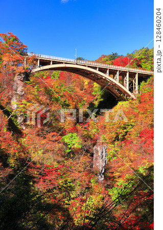 【宮城県】快晴の鳴子峡の紅葉 128460204