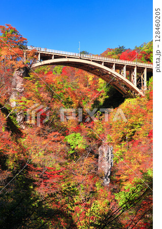 【宮城県】快晴の鳴子峡の紅葉 128460205