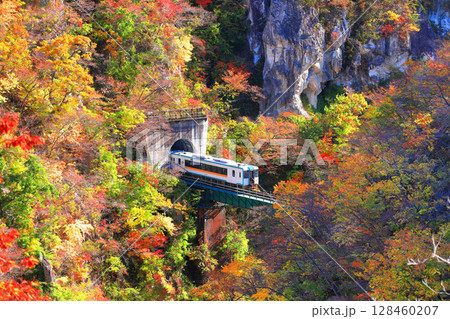 【宮城県】鳴子峡を渡る紅葉列車 【宮城県】鳴子峡を渡る紅葉列車 128460207