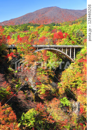 【宮城県】快晴の鳴子峡の紅葉 128460208
