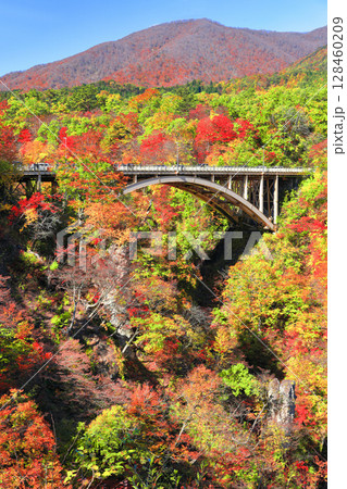 【宮城県】快晴の鳴子峡の紅葉 128460209
