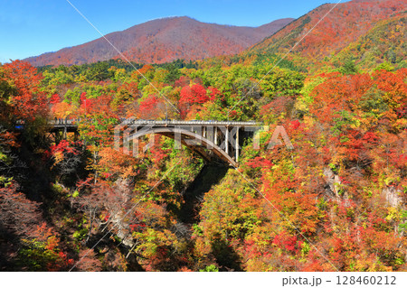 【宮城県】快晴の鳴子峡の紅葉 128460212