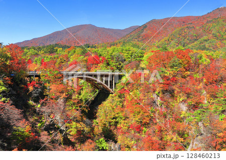 【宮城県】快晴の鳴子峡の紅葉 128460213