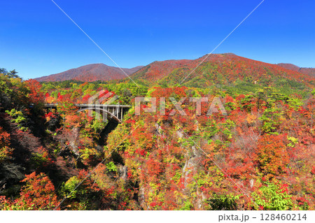 【宮城県】快晴の鳴子峡の紅葉 128460214