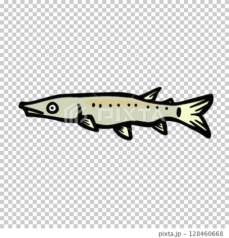 Simple bluntnose gar illustration 128460668