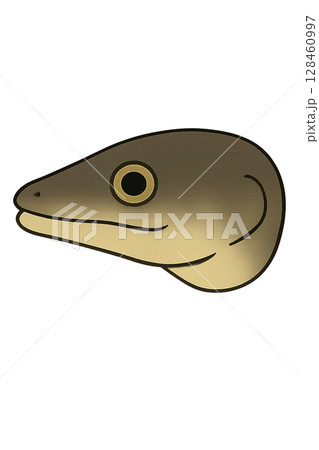 うなぎの顔のイラスト 128460997