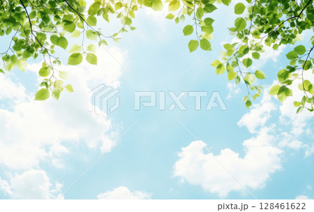 Blue sky and white clouds with green leaves in foreground, suitable for background Blue sky and white clouds with green leaves in foreground, suitable for background 128461622