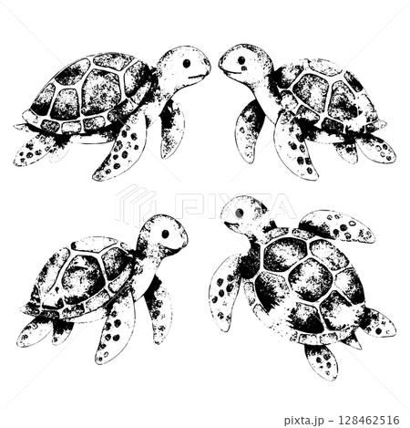 Black and white hand-drawn sea turtles vector illustration with grunge texture. Monochrome vector design perfect for stickers, prints, tattoos, kids deco 128462516