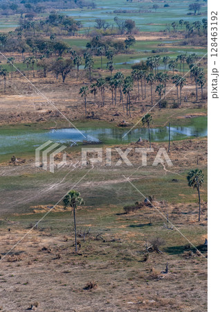 Aerial view of the Okavango Delta Aerial view of the Okavango Delta 128463192