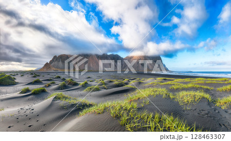 Astonishing sunny day and gorgeous rippled black sand beach with dunes and green grass on Stokksnes cape in Iceland. Astonishing sunny day and gorgeous rippled black sand beach with dunes and green grass on Stokksnes cape in Iceland. 128463307