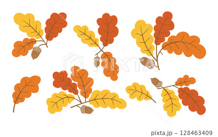 Oak leaves and acorns set hand drawn in colorful style on white background. Concept of autumn forest elements and natural seasonal design Oak leaves and acorns set hand drawn in colorful style on white background. Concept of autumn forest elements and natural seasonal design 128463409