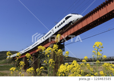 鉄橋を駆ける特急かもめ885系と菜の花 128463585