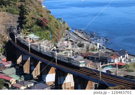海沿いを駆ける185系特急列車 128463701