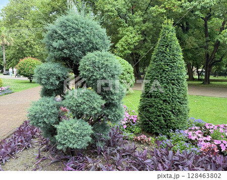 Lush greenery and vibrant flowers create a picturesque scene along a paved pathway, inviting visitors to enjoy the tranquility of nature within the park Lush greenery and vibrant flowers create a picturesque scene along a paved pathway, inviting visitors to enjoy the tranquility of nature within the park 128463802