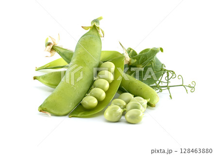 Fresh green peas in pods, a vibrant and healthy food source. Fresh green peas in pods, a vibrant and healthy food source. 128463880