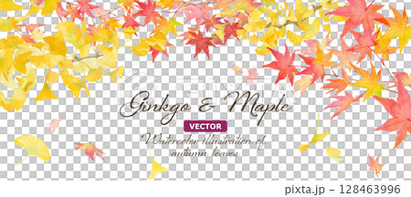 Watercolor illustration of autumn leaves and ginkgo trees. Banner background with autumnal images. Frame decoration. (Vector) 128463996
