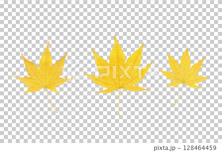 落葉插畫水彩枯葉 128464459