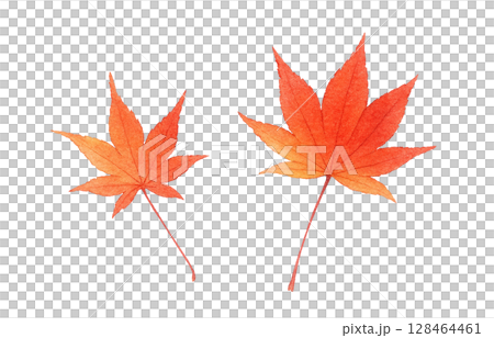 Fallen leaves illustration watercolor dead leaves 128464461