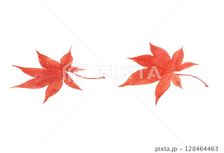 落ち葉 イラスト 水彩 枯れ葉 128464463