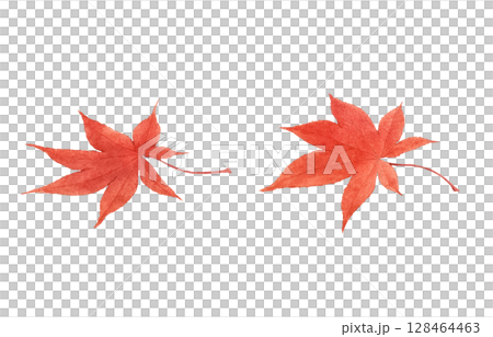 落ち葉 イラスト 水彩 枯れ葉 128464463