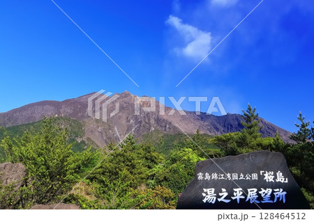 【鹿児島県】晴天の湯之平展望所から見た桜島 128464512