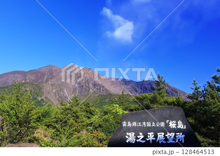 【鹿児島県】晴天の湯之平展望所から見た桜島 【鹿児島県】晴天の湯之平展望所から見た桜島 128464513