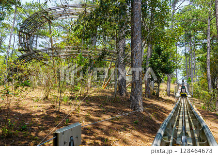 Alpine Coaster Track Through Pine Forest at Datanla Waterfall Adventure Park, Da Lat, Vietnam Alpine Coaster Track Through Pine Forest at Datanla Waterfall Adventure Park, Da Lat, Vietnam 128464678