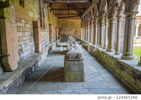 Saint Tugdual cathedral, Treguier, brittany, france, cloister 128465266