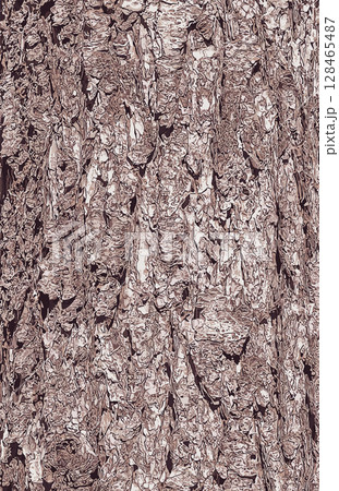 Vector illustration close up of bark texture of the evergreen coniferous tree Pseudotsuga menziesii, commonly known as Douglas fir. Vector illustration close up of bark texture of the evergreen coniferous tree Pseudotsuga menziesii, commonly known as Douglas fir. 128465487