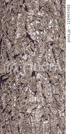Vector illustration close up of bark texture of evergreen coniferous tree a Pseudotsuga menziesii, commonly known as Douglas fir. Vector illustration close up of bark texture of evergreen coniferous tree a Pseudotsuga menziesii, commonly known as Douglas fir. 128465488