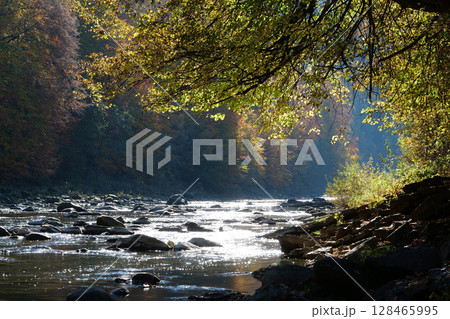 Picturesque place. Yellow autumn trees shed their leaves in river Picturesque place. Yellow autumn trees shed their leaves in river 128465995