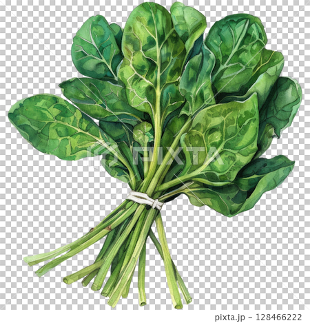 Fresh spinach bundle in watercolor, isolated on a white background. perfect for healthy food concepts 128466222