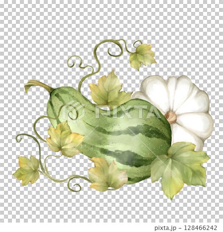 Delicate hand-drawn design featuring a green gourd, white pumpkin, and lush leaves with swirling vines. Perfect for fall decor, Thanksgiving crafts, cards and seasonal designs 128466242