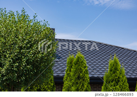 A sleek metallic tile roof is showcased above verdant trees, highlighting construction quality beneath a clear blue sky A sleek metallic tile roof is showcased above verdant trees, highlighting construction quality beneath a clear blue sky 128466893