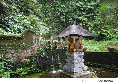 インドネシア バリ島 世界遺産グヌン・カウィ インドネシア バリ島 世界遺産グヌン・カウィ 128466981