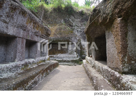 インドネシア バリ島 世界遺産グヌン・カウィ インドネシア バリ島 世界遺産グヌン・カウィ 128466997